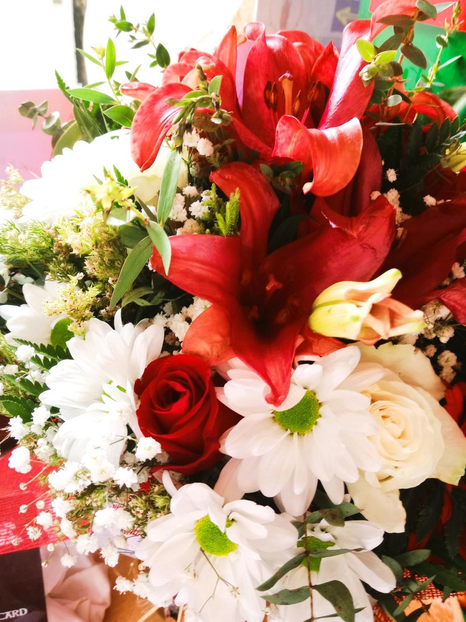 Albergue San Lazaro 萨里亚 外观 照片